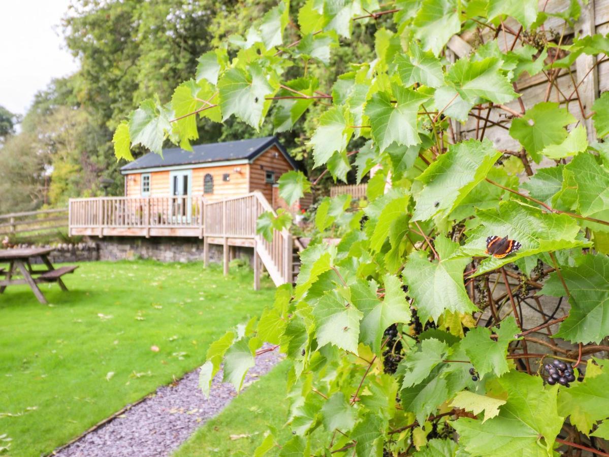 Chateau Petit Caersws Экстерьер фото